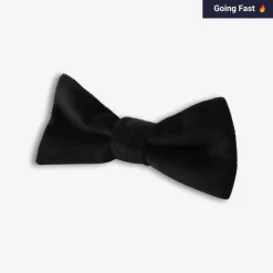 Appaman Accessories|Ties & Belts-Bow Tie BlackVelvet