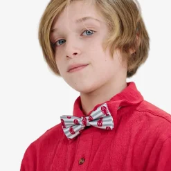 Appaman Ties & Belts|Ties & Belts-Bow Tie LobsterStripe