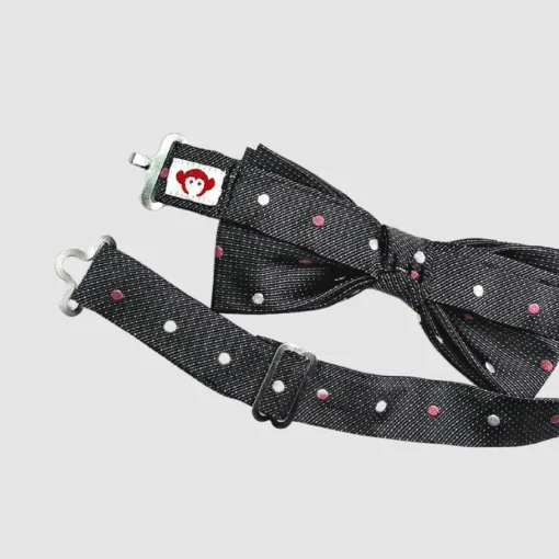 Appaman Ties & Belts|Ties & Belts-Silk Bow Tie PinkPolkaDots