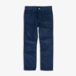 Appaman Pants|Suit Pants-Skinny Cords Galaxy