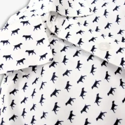 Appaman Separates|Dress Shirts-Standard Shirt ThePointer