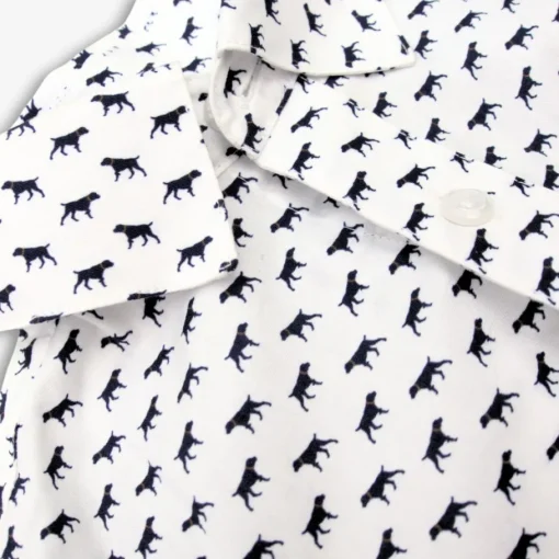 Appaman Separates|Dress Shirts-Standard Shirt ThePointer