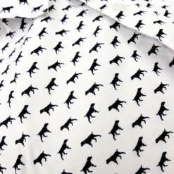 Appaman Separates|Dress Shirts-Standard Shirt ThePointer