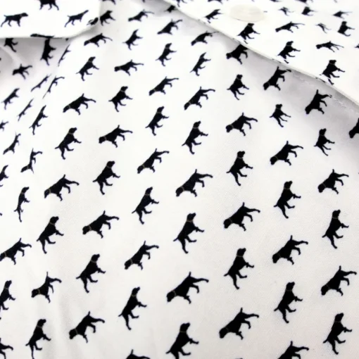 Appaman Separates|Dress Shirts-Standard Shirt ThePointer