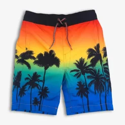 Appaman Swim-Swim Trunks OmbrePalms